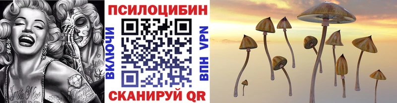 Купить  Малаховка  Псилоцибиновые грибы Magic Shrooms